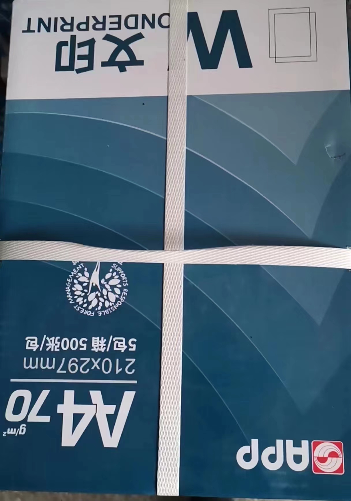 微信圖片_20240401175553.jpg